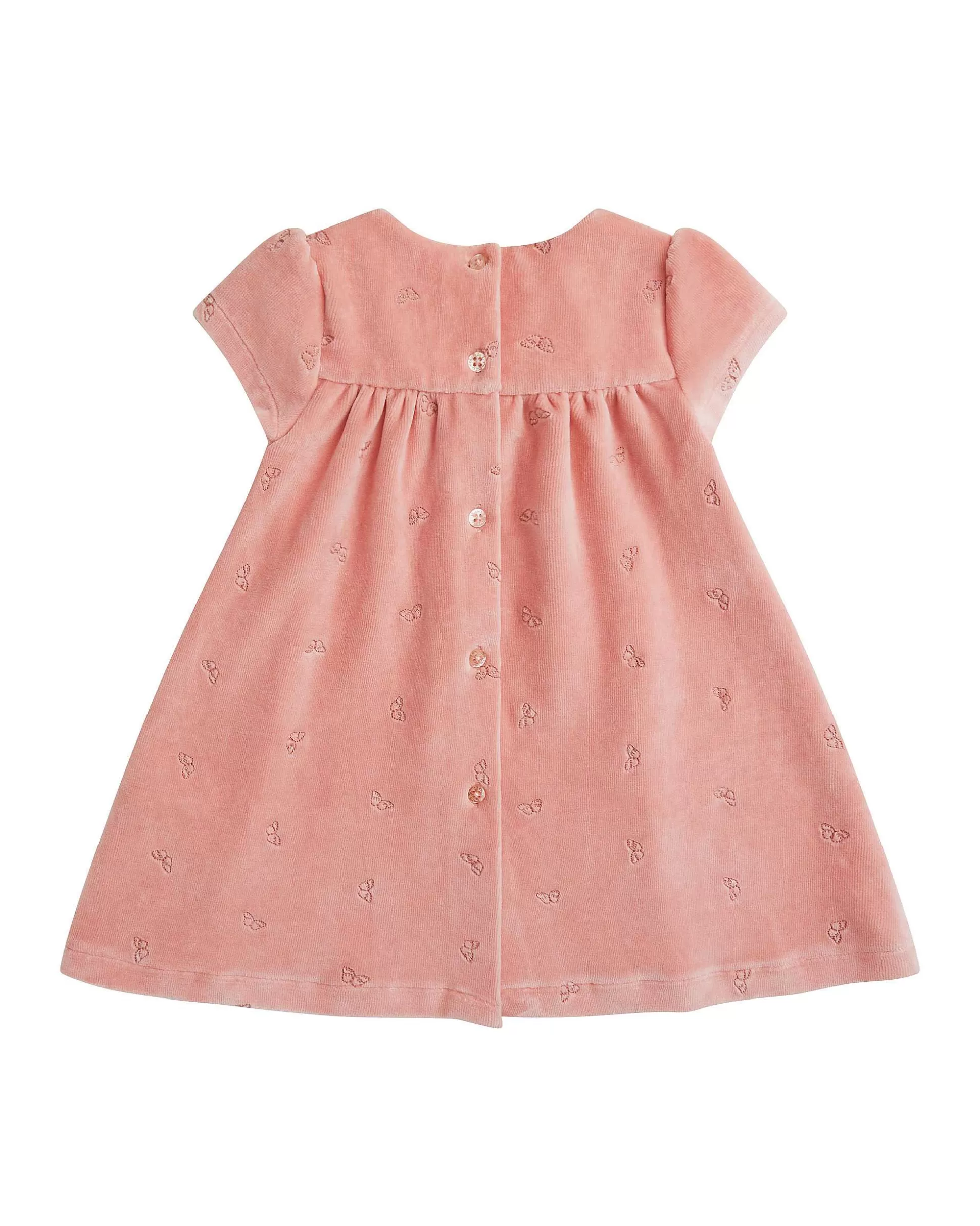 Clearance Angel Wing Velour Dress - Baby Dusty Pink Baby The Iconic Angel Wing